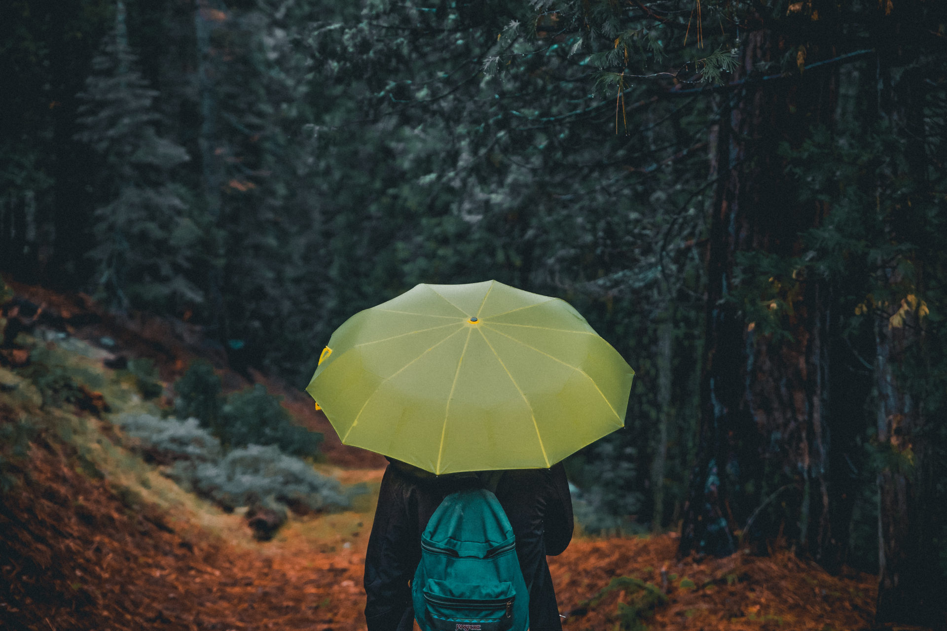 Bien S Quiper Pour Marcher Sous La Pluie